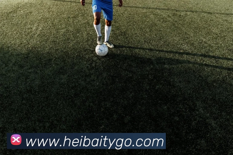 黑白体育APP发展历程